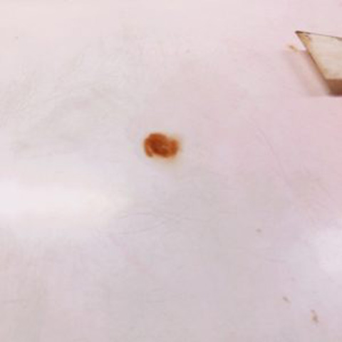 金継ぎ 定盤の上に出した生正味(きじょうみ)うるしと灯油